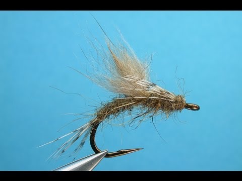 how to dye squirrel tails