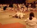 Sally Fight 2