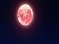 Hellsing Ova 4 English Dub [part 6]
