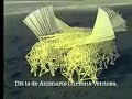 Animaris Currens Ventosa