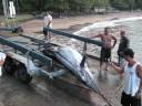hana bay marlin 2008.wmv