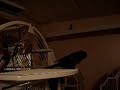 Kiwi the Green Cheek Conure dancing