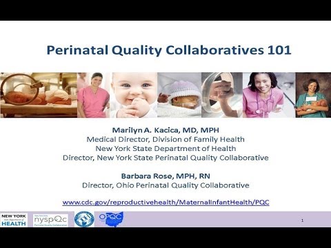Perinatal Quality Collaboratives 101