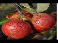 2 apples talking