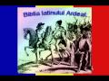 
		YouTube
				- 03   Tu, ardeal   Populara Veta Biris
	