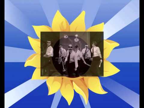 Youtube Video tBIdlseSHLU