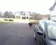 Fat kid gets hit with a slapshot
