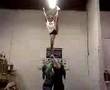 videos de kabban mollie and francis