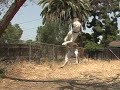 American Bulldog Toro