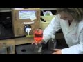 Liquid Media Preparation