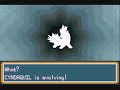 Pokemon Shiny Gold Walkthrough Part 8 Pokemon Shiny Gold Walkthrough Part 8