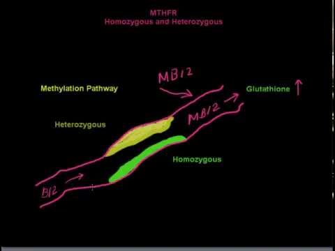 how to treat mthfr mutation