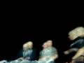 videos de Clubland Live 2 Frisco Set