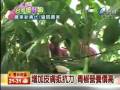 videos de 台灣優鮮報_增加皮膚抵抗力 青椒營養價值高