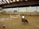 Cour de saut avec perle Cour de saut avec perle