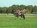 Friese Merrie