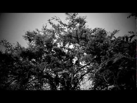 Imagen de previsualización de YouTube