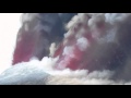 Raw Video: Italy's Mt. Etna Erupts