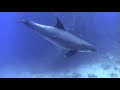 Kristin Boese image trailer 2009 - 12-03
