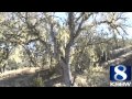 Pinnacles becomes Pinnacles National Park - YouTube