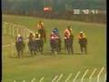 Red Romeo- De International Cup