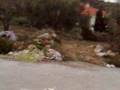 Neoxori Today