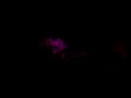 Eve of Destiny - Australia[Live] pte. 2