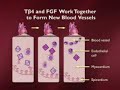 Stem Cells and the End of Aging Part 6 of 6 IGF-1
