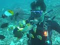 Bunaken's Giant Clamps Bunaken's Giant Clamps