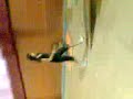 Ed.Fisica xD Saltado el caballete :OO