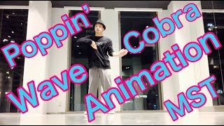 MST – Animation Wave Cobra practice