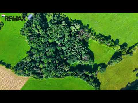 Video Výjimečný soubor pozemků o rozloze 36 931 m² pod Kozákovem – les, louky i zbořeniště v Českém Ráji