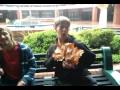Lowey, Dave and Leaf