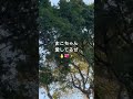 【真田まこと】グラビア世界のしらこばと水上公園の中心で真の愛を叫ぶ男の中の漢シリーズ（　GWゴールデンウィーク2024/05/03 17:15 ）