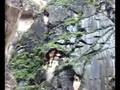 Tiger leaping gorge 1. Garganta del salto del Tigre.