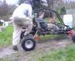 selfbuilt-buggy-it-s