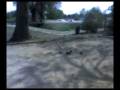 videos de Vidéo 0029.AVI