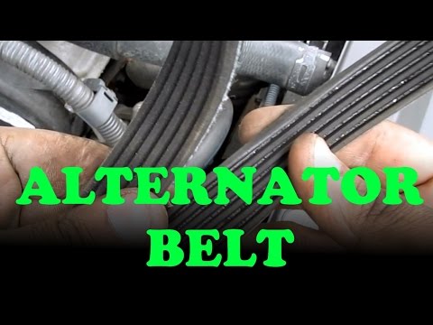 Toyota Camry V6 / Lexus ES330 Belt Replacement