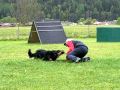 2010-05-18 | Rhadja Hovawart - Beutespiel Teil2 ~> Beutespiel Teil 2 ()