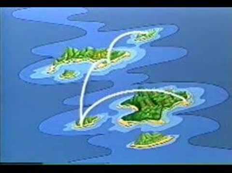 Sesame Street - Caribbean Amphibian