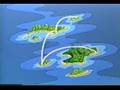 Sesame Street - Caribbean Amphibian