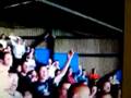 videos de Luton fans, Darlo at home 3.