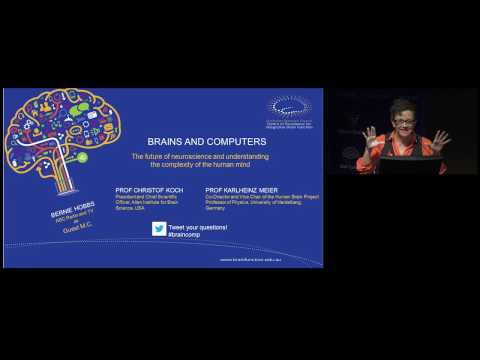 Brains and Computers: the future of neuroscience