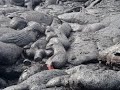 Airin in Lava