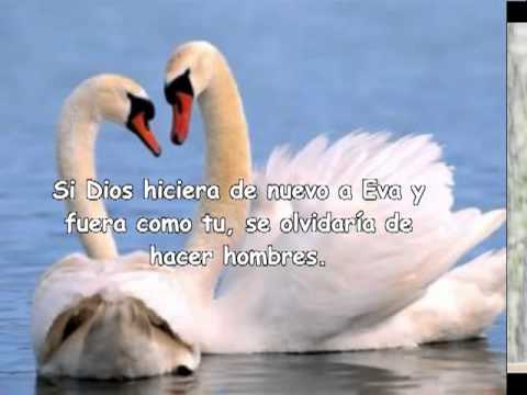 Cartas de amor y frases de amor cortas para dedicar en video o imagenes.