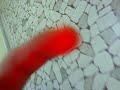 Topo a scuola A. Diaz di Caserta
