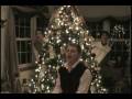 All I Want For Christmas