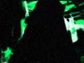 The Hooded Freak on GiR2007 and The Garden