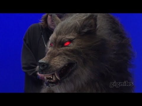 Creature Effects - WHAT YOU DO: Make animals and other creatures come to life on movie and TV screens using make-up, props, and animatronics to mimic realistic movement. EDUCAT...