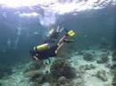 Sipadan, Sabah Sipadan, Sabah